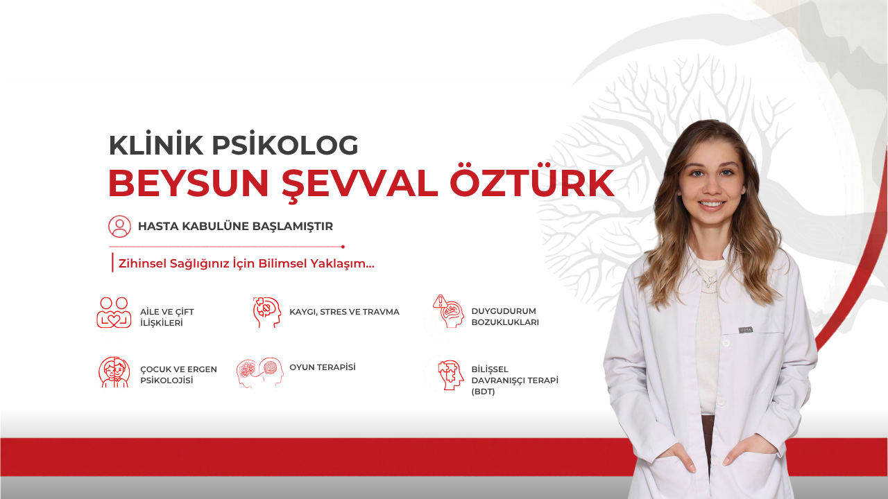beysunhanimbasladi